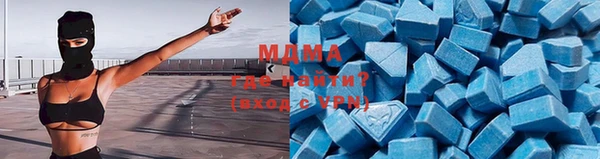 ГАЛЛЮЦИНОГЕННЫЕ ГРИБЫ Лагань