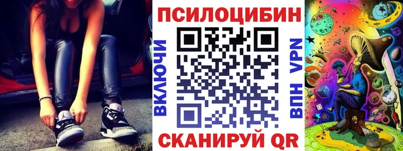 Псилоцибиновые грибы Cubensis  закладки  Курганинск 